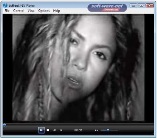 FLV Player Screenshot