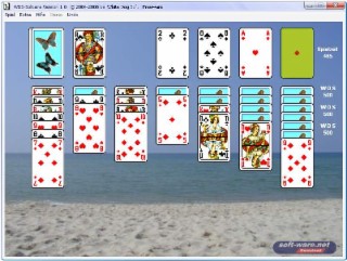 WDS-Solitaire Screenshot