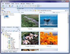 CubicExplorer 0.95.1